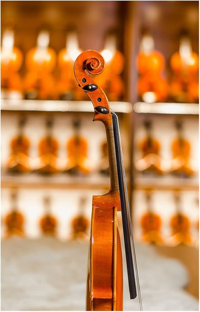 Amazon.co.jp: 4/4トウヒの手芸ビオリン初心者、学生、大人に最適 学生